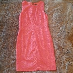 Coral lace midi dress